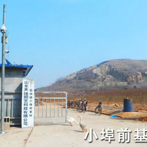 小埠前基地