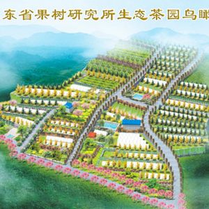 山東省果樹(shù)研究所生態(tài)茶園鳥(niǎo)瞰圖