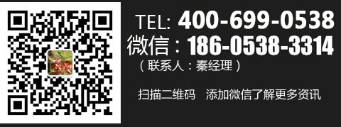 掃一掃，加微信