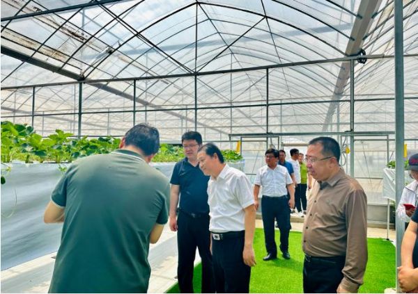 段友臣“四不兩直”到天地園藝現(xiàn)代設施果樹種苗育繁推一體化項目督導調研